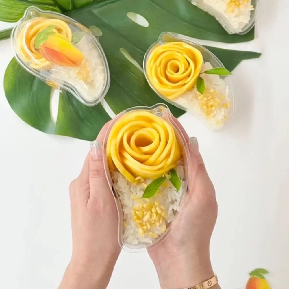 50 stuks transparante mango-vo - Food Storage Containers Xl recensie en prijs